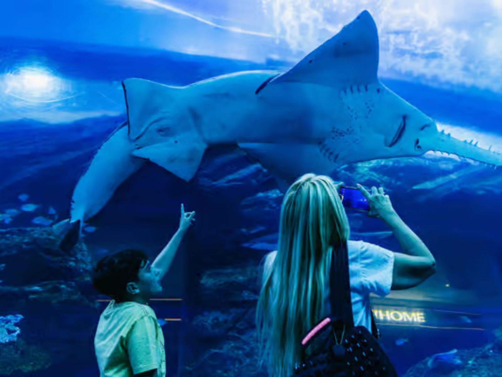 Dubaï : Aquarium et Burj Khalifa Niveaux 124 et 125 Billet combiné - MY WONDER ACCESS