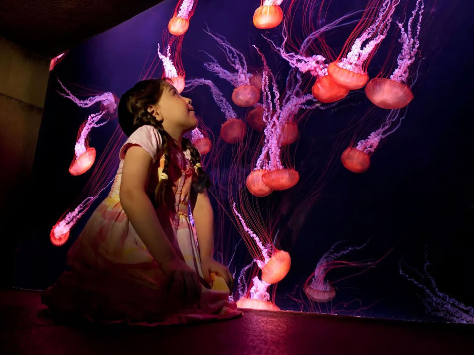 Dubai: Aquaventure World Day Pass with Lost World Aquarium - MY WONDER ACCESS