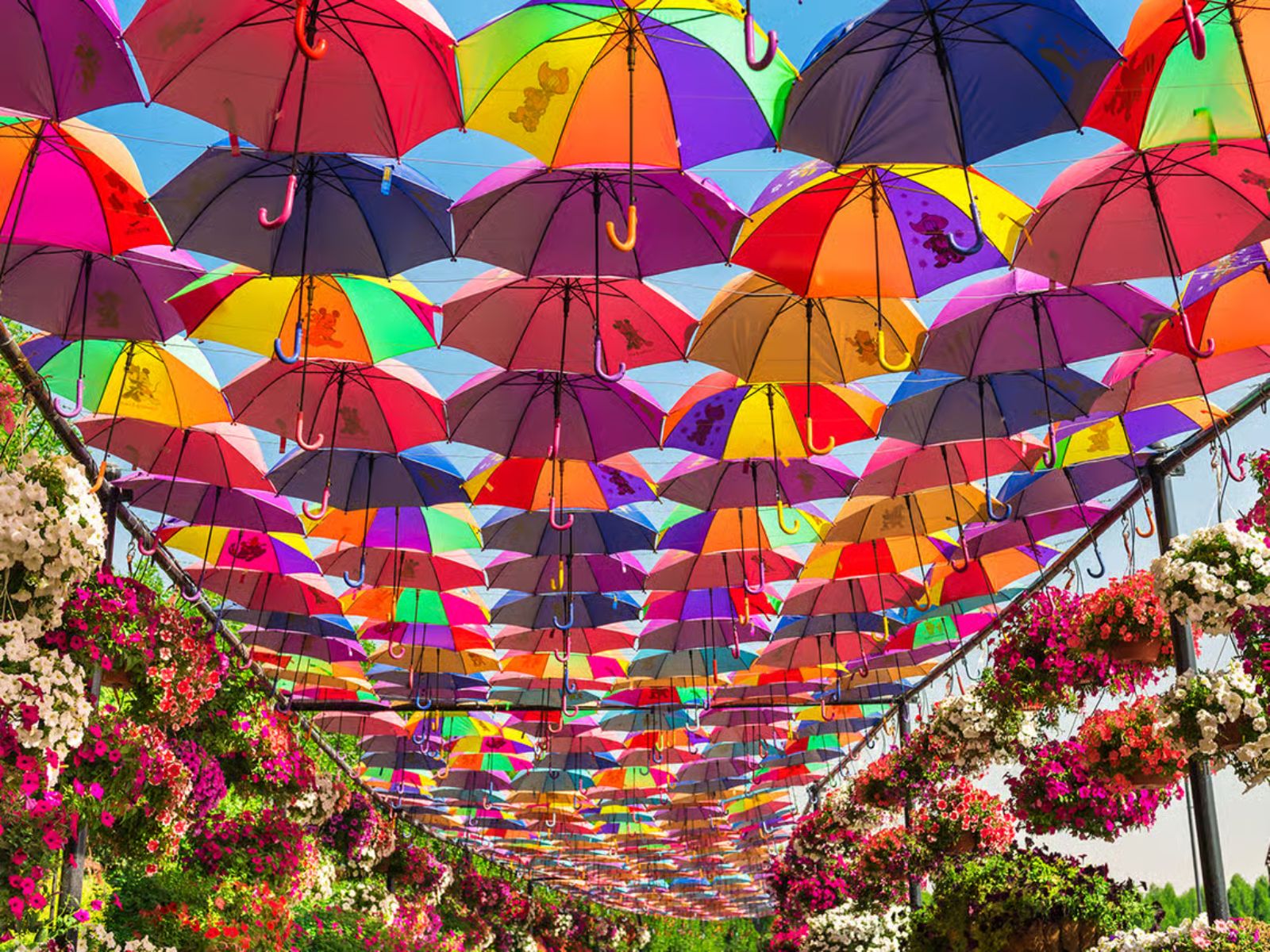 Dubai: Miracle Garden Entry Ticket with Hotel Transfer - MY WONDER ACCESS