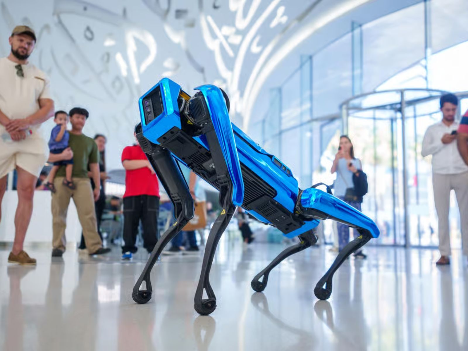 Dubai: Museum of the Future Admission Ticket - MY WONDER ACCESS