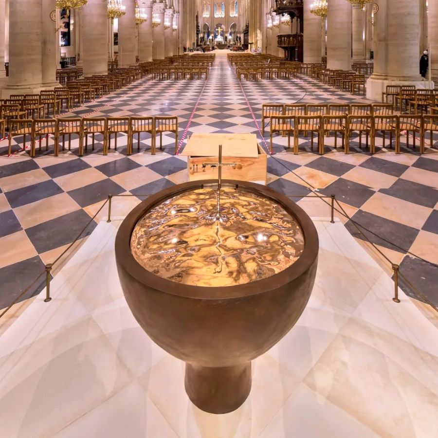 Notre - Dame Direct Access and Introduction Tour - MY WONDER ACCESS