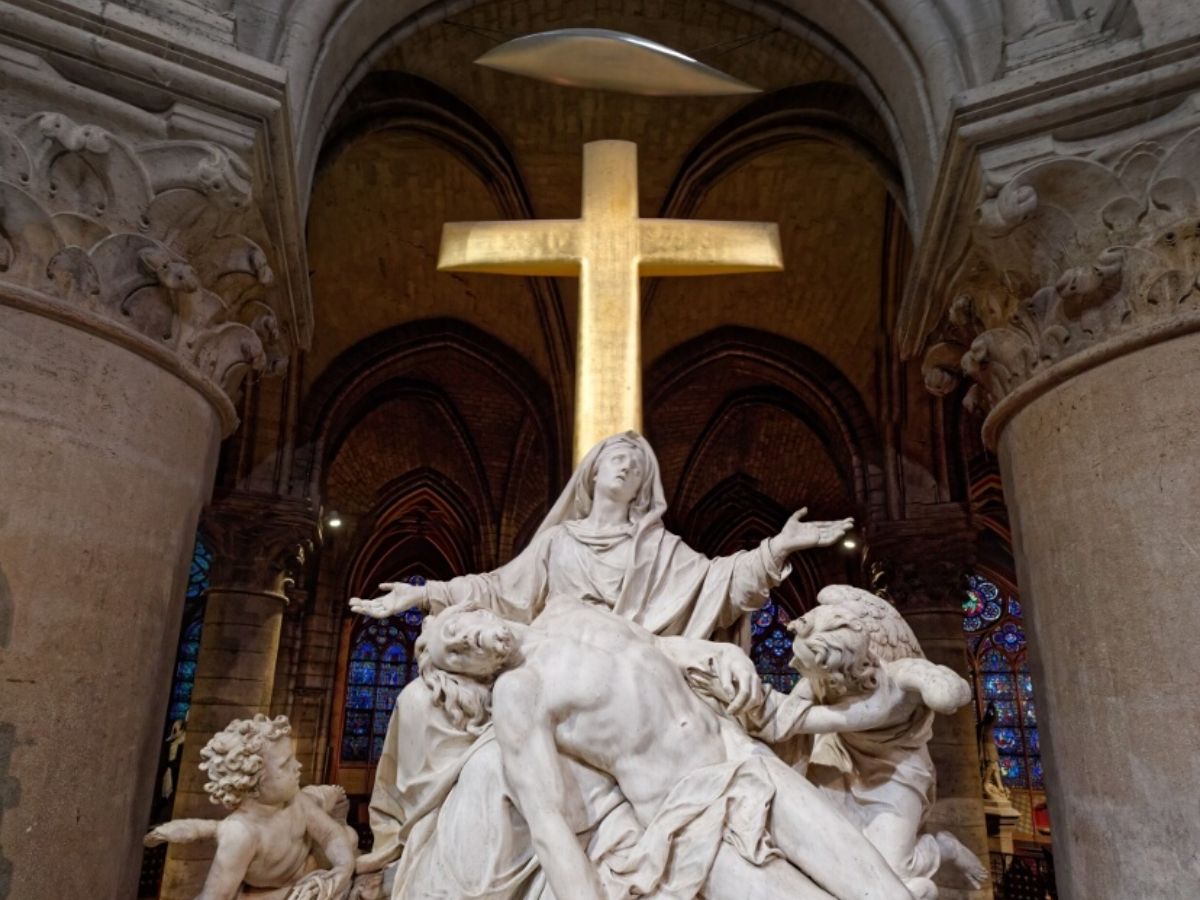 Notre Dame Free Direct Access & Ile de la Cité Guide Tour - MY WONDER ACCESS