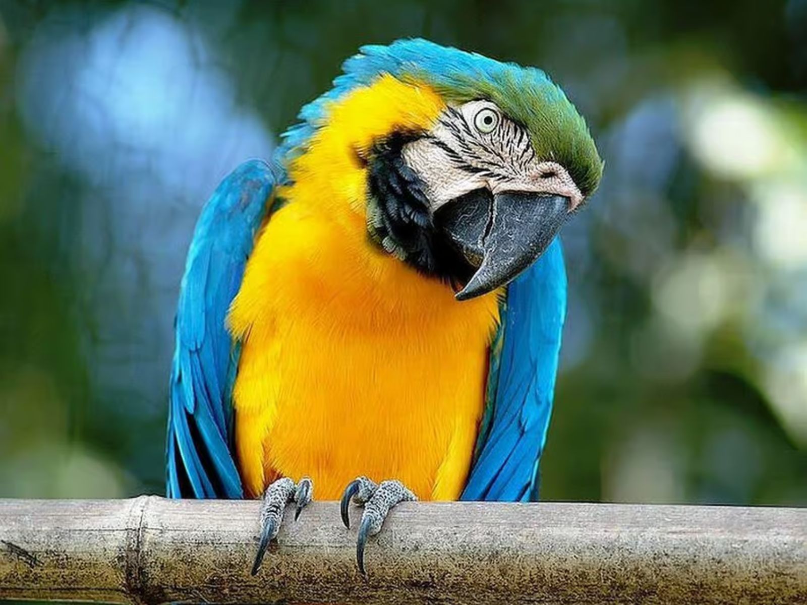 Rome: Bioparco di Roma Zoological Garden Entry Ticket - MY WONDER ACCESS