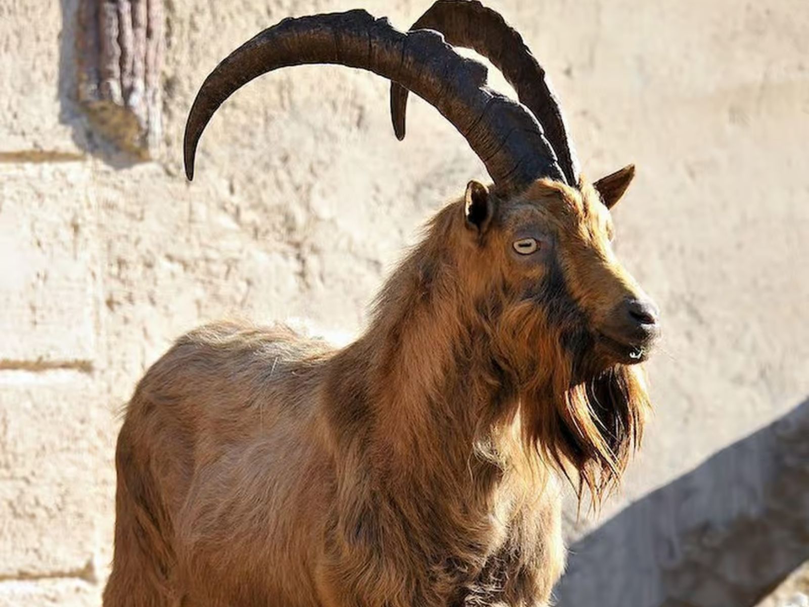 Rome: Bioparco di Roma Zoological Garden Entry Ticket - MY WONDER ACCESS