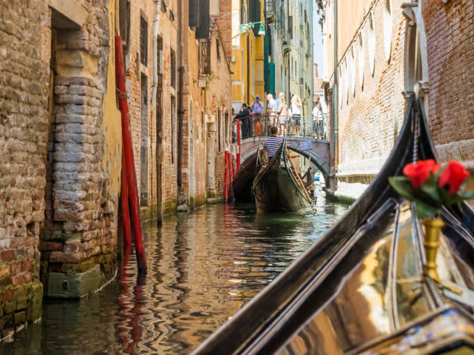 Venice: Shared Gondola Ride Across the Grand Canal - MY WONDER ACCESS