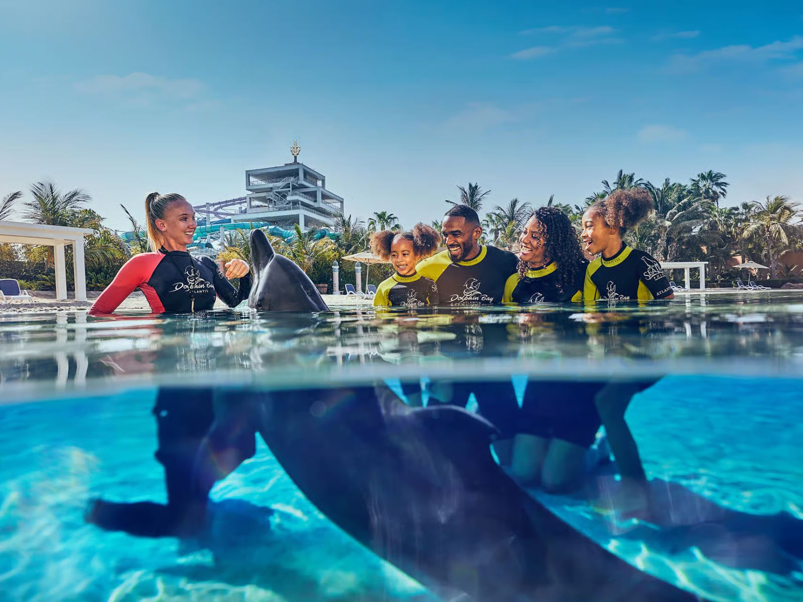 Aquaventure World: Dolphin Encounter + Waterpark Day Pass - MY WONDER ACCESS