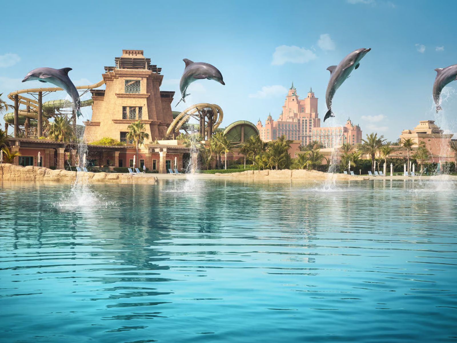 Aquaventure World: Dolphin Encounter + Waterpark Day Pass - MY WONDER ACCESS