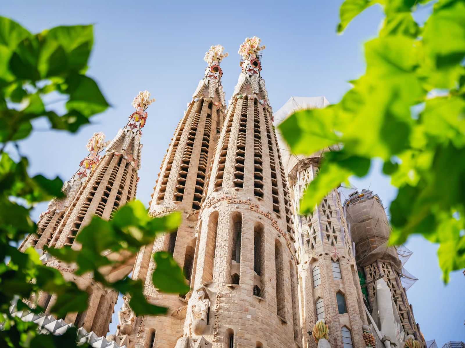 Barcelona: Sagrada Familia Skip - the - Line Entry Ticket & Tour - MY WONDER ACCESS