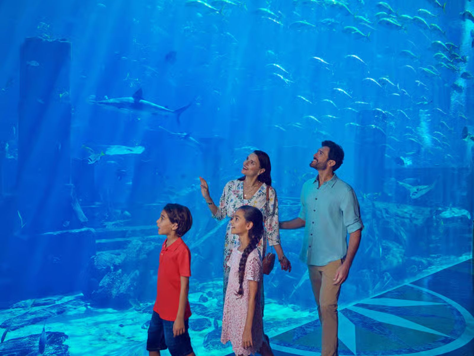 Dubai: Aquaventure World Day Pass with Lost World Aquarium - MY WONDER ACCESS