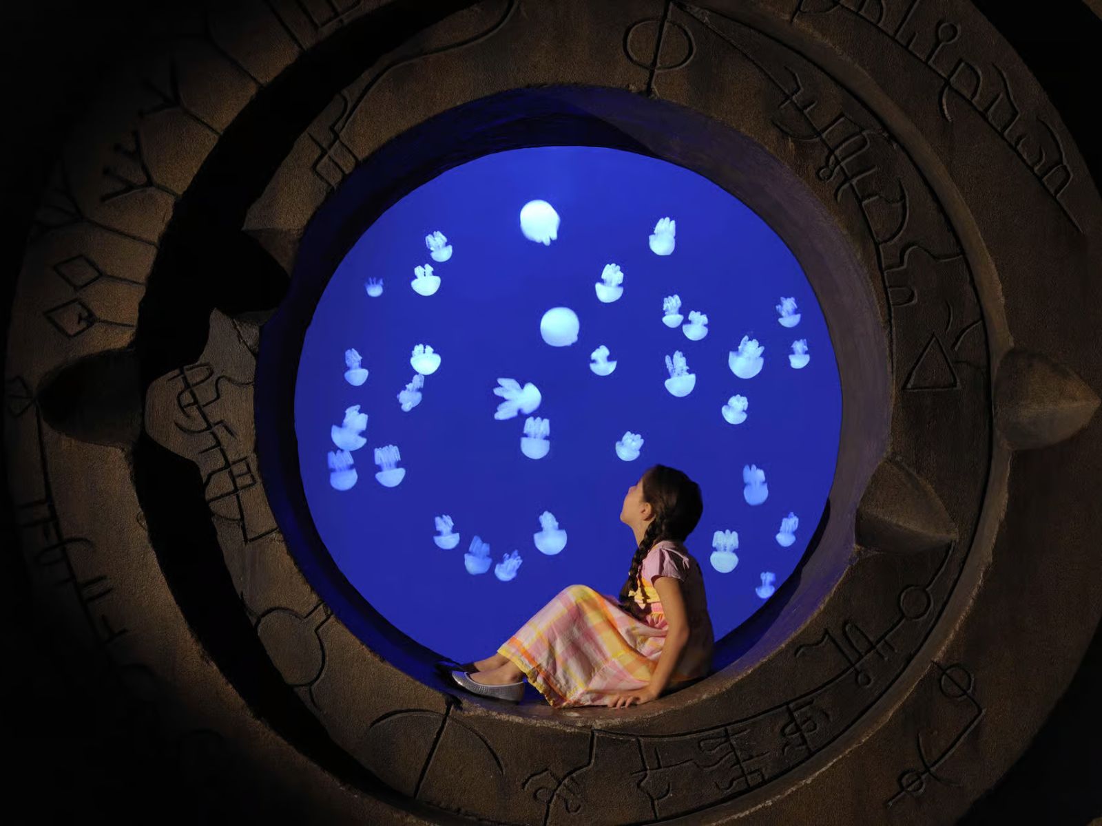 Dubai: Aquaventure World Day Pass with Lost World Aquarium - MY WONDER ACCESS
