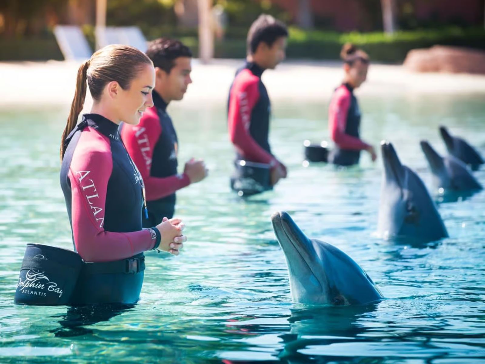 Dubai: Aquaventure World Waterpark Day Pass + FREE Upgrade - MY WONDER ACCESS