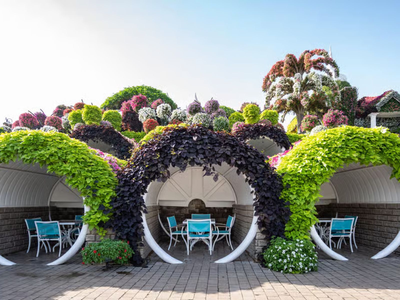 Dubai Miracle Garden Skip - the - Line Ticket & Transport Option - MY WONDER ACCESS