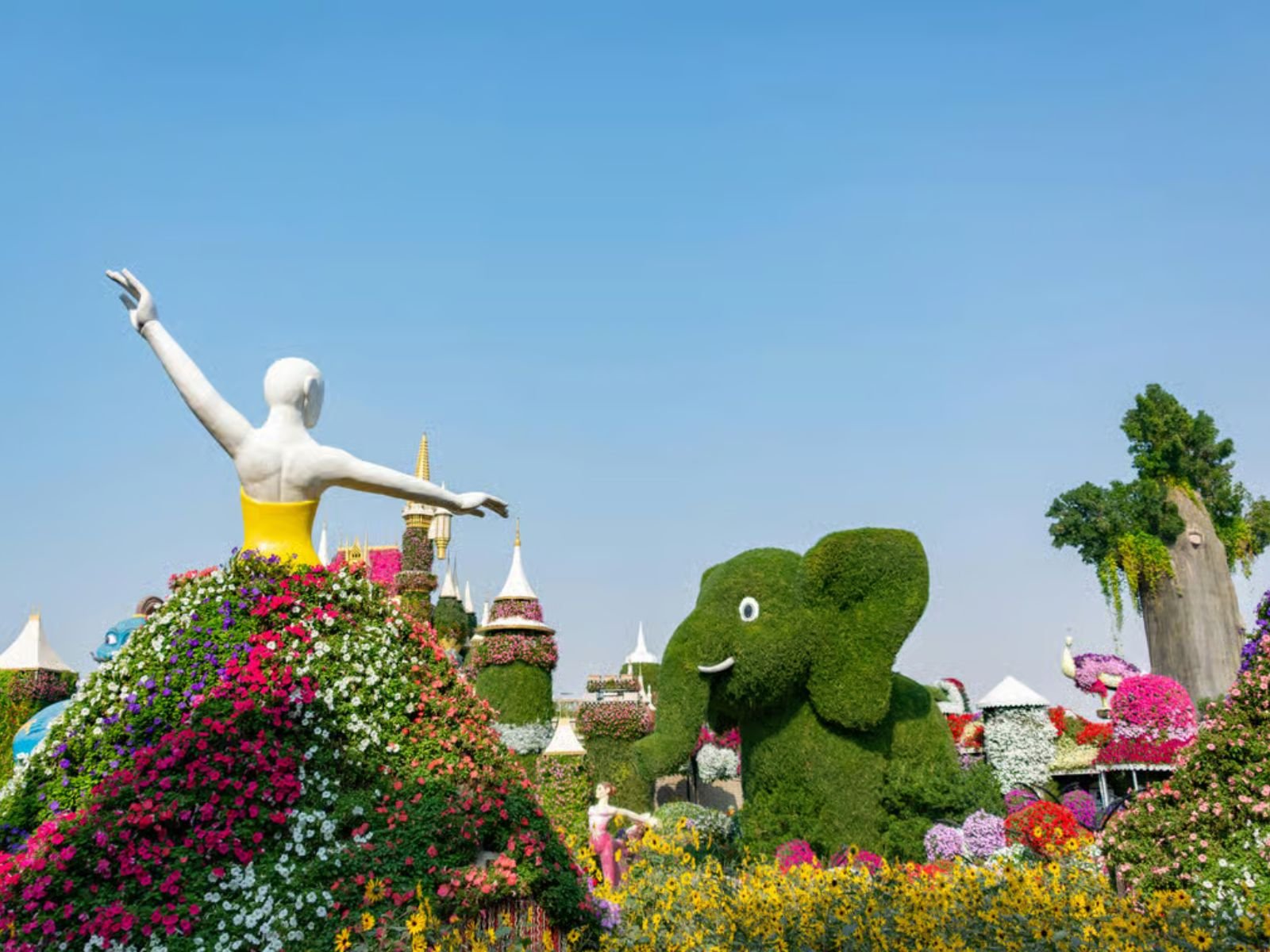 Dubai: Private Miracle Garden & Global Village Trip - MY WONDER ACCESS