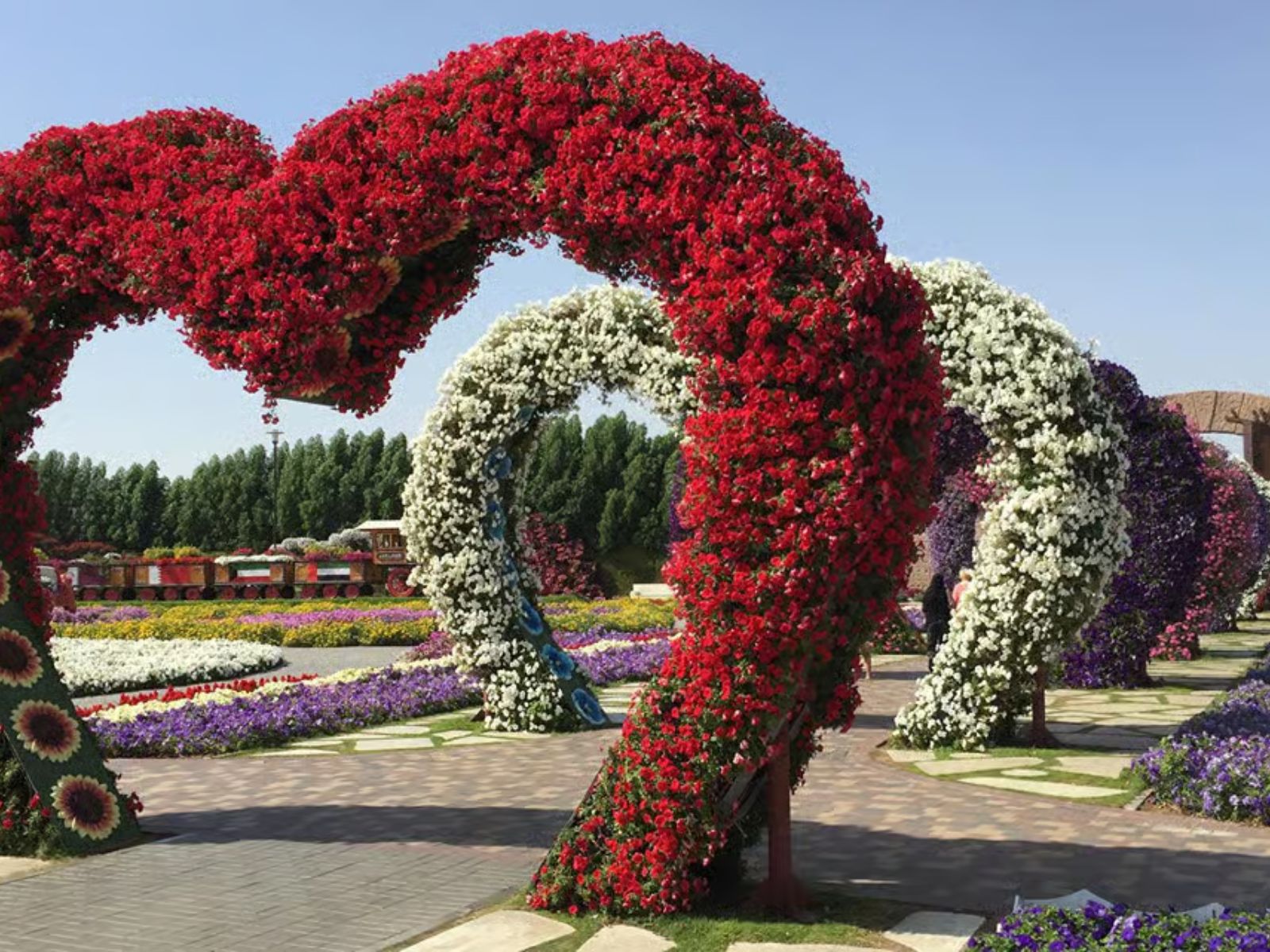 Dubai: Private Miracle Garden & Global Village Trip - MY WONDER ACCESS