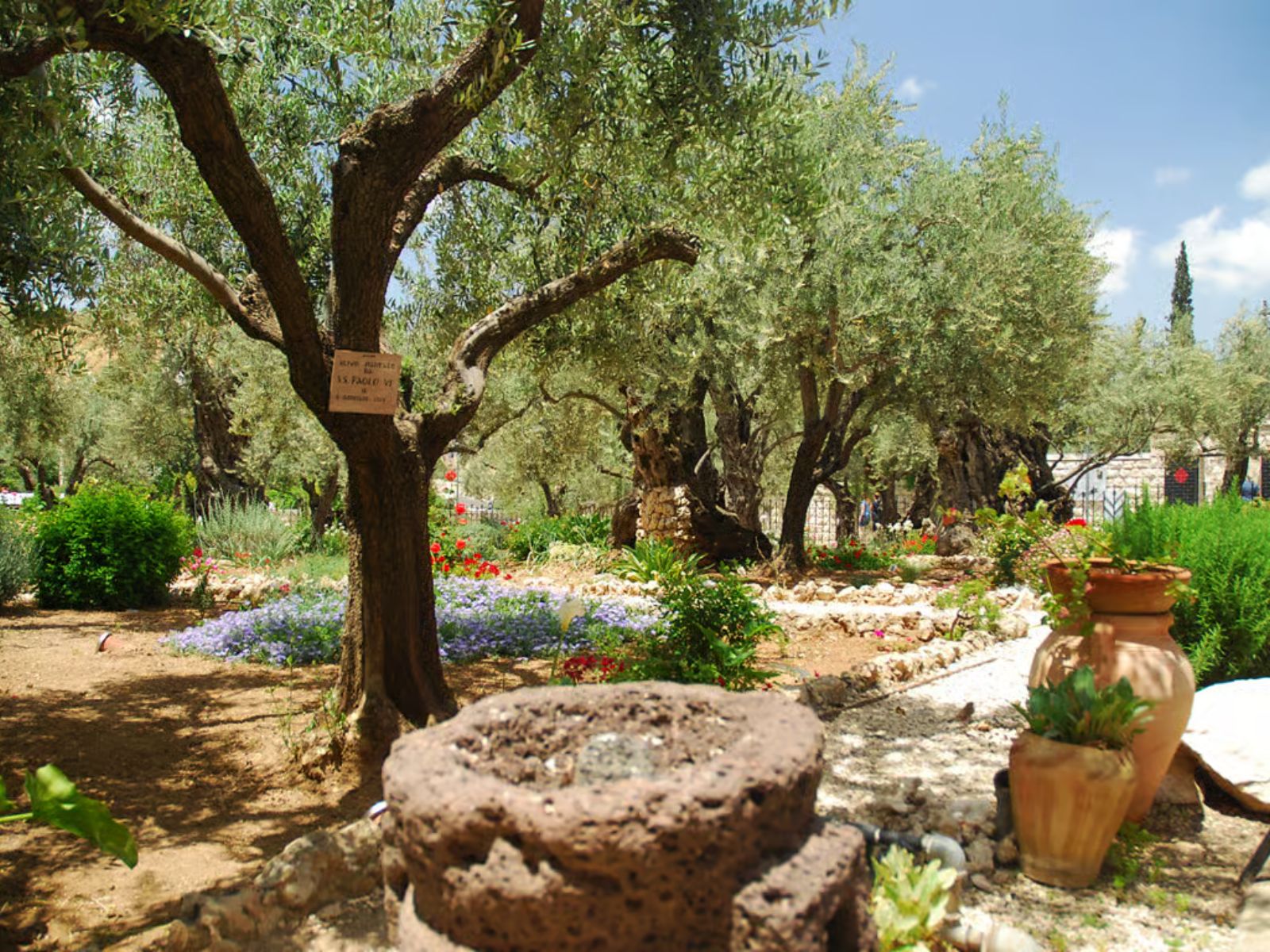 Jerusalem: City of David, Underground Jerusalem Day Tour - MY WONDER ACCESS