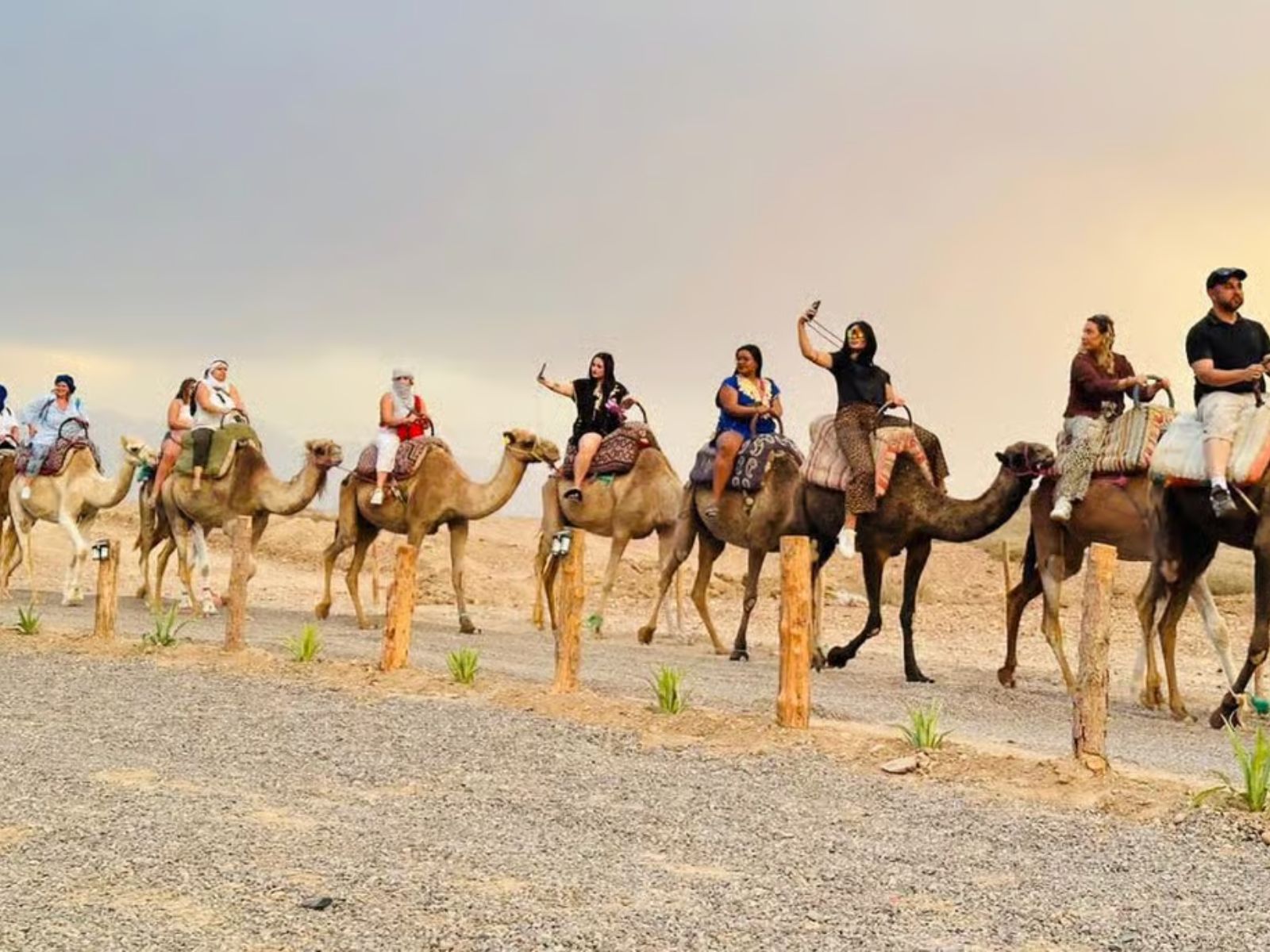 Marrakesh: Agafay Desert Quad & Camel Rides with Dinner Show - MY WONDER ACCESS