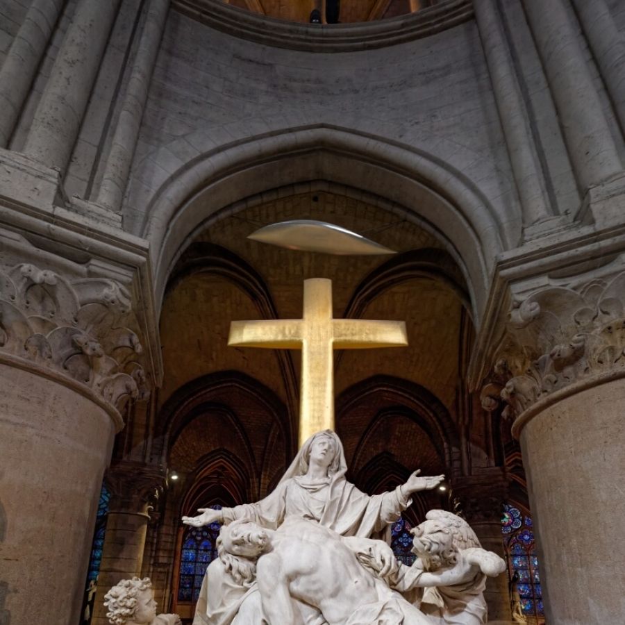 Notre - Dame Access with Interior Guided Tour - PARIS ACCESS