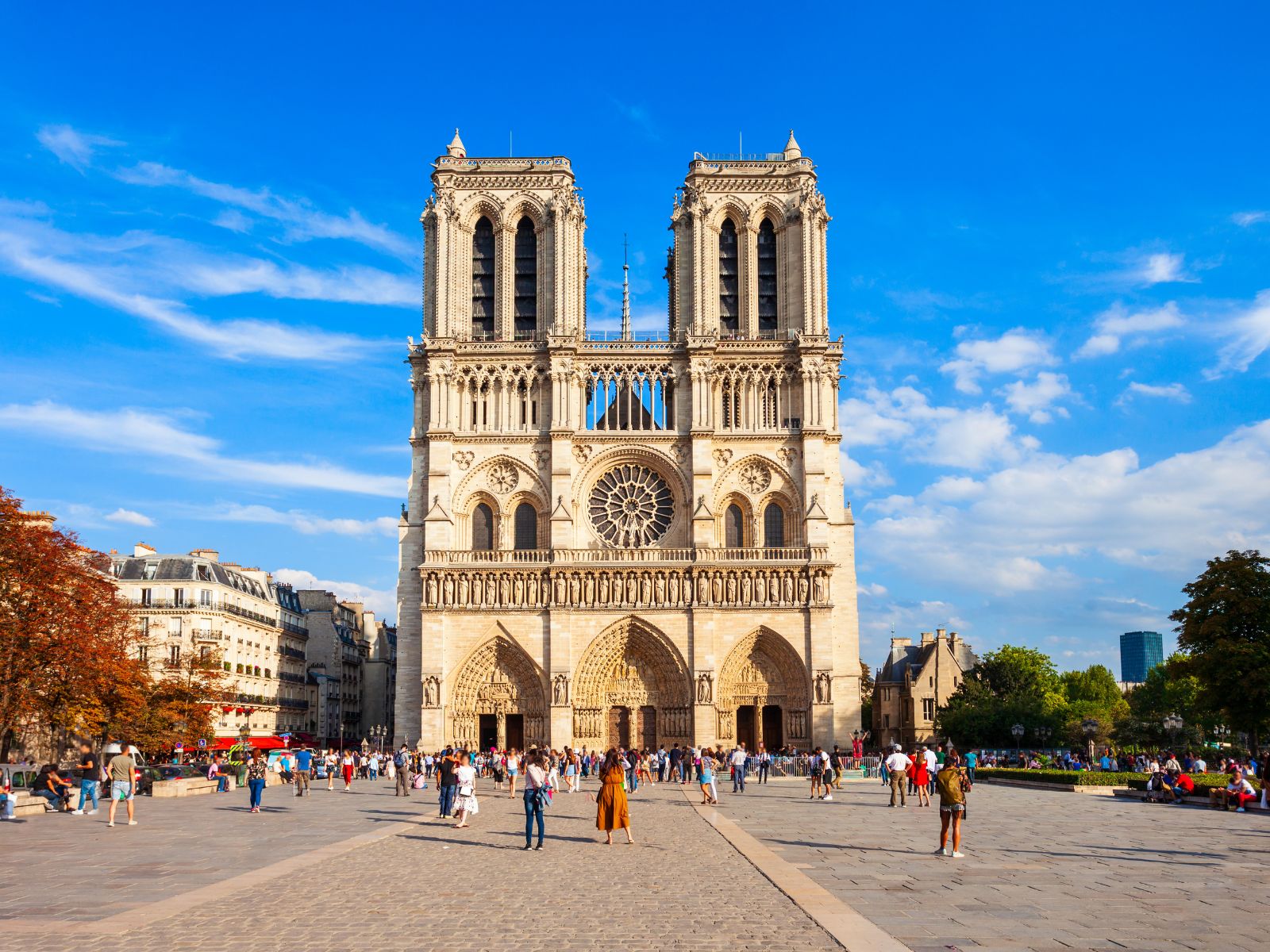 Notre Dame Rebirth Experience® - 45 Min - MY WONDER ACCESS